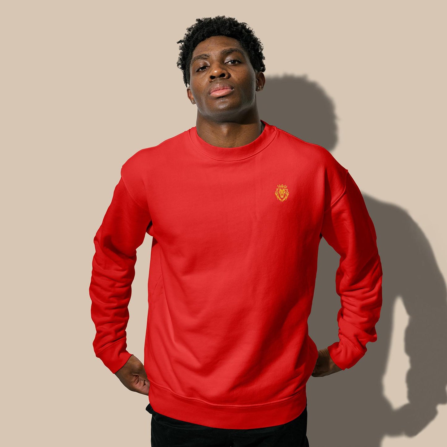 Red Crew Neck Sweatshirt